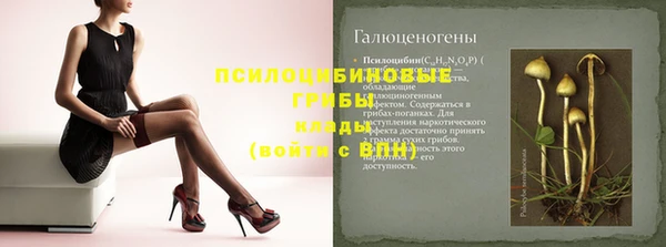 индика Майский