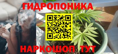 СК Волжск