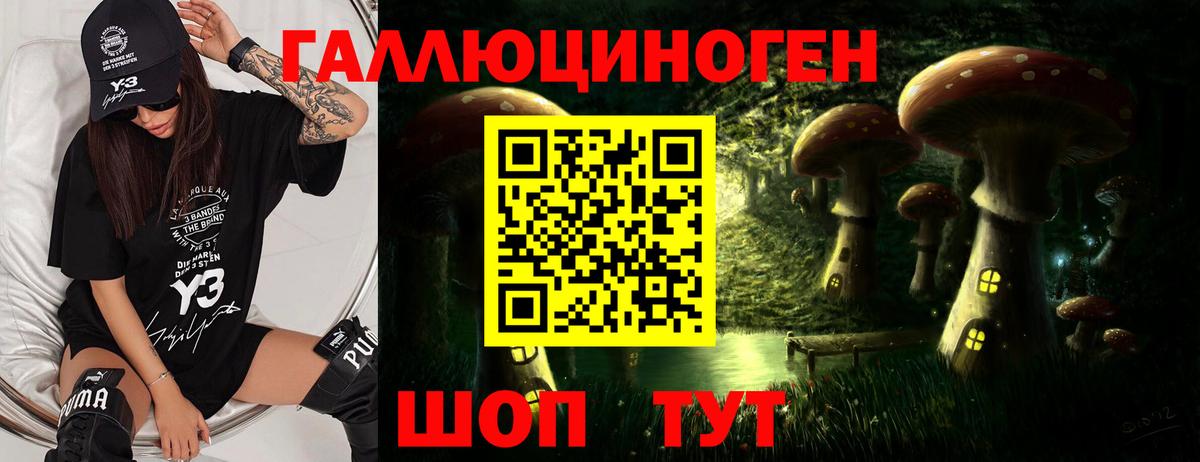 Псилоцибиновые грибы Psilocybine cubensis  Псилоцибиновые грибы Magic Shrooms  Кандалакша  Вход с VPN 